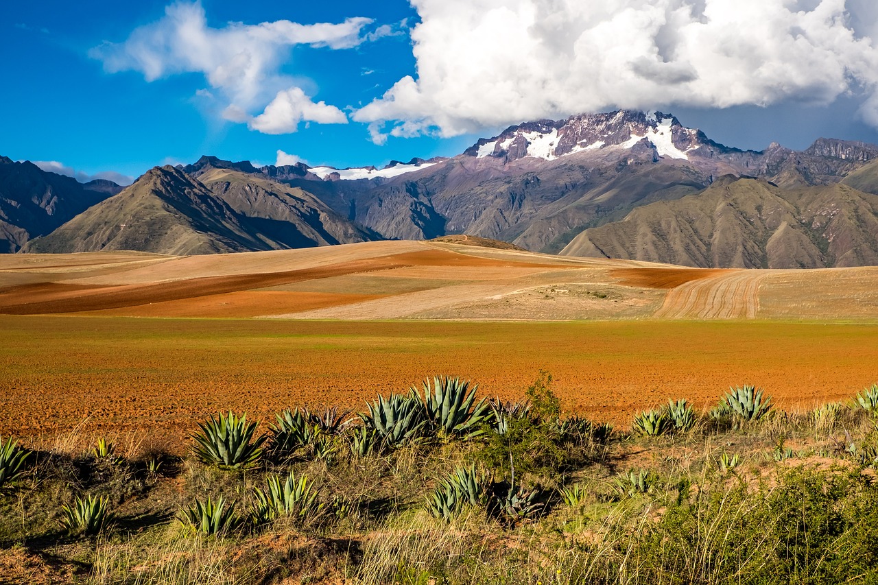 The Untouched Landscapes of Bolivia’s Sajama National Park